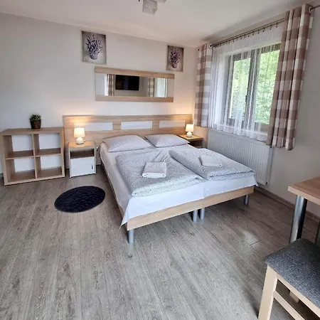 Goscinne Nowa Gran Ubytování v soukromí Zakopane