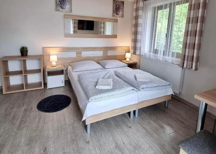 Goscinne Nowa Gran Habitación en casa particular Zakopane